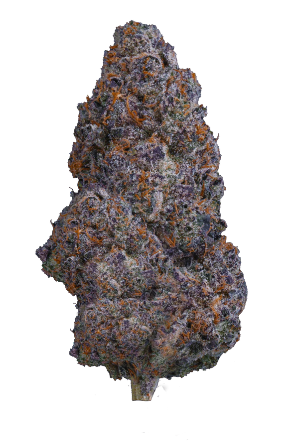 LEMON_CHERRY_GELATO_1_600x